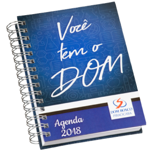 Agendas Wireo Personalizada